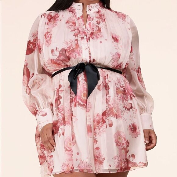 ❤️BRAND NEW L’atise by Amy Plus Size Berry & Cream Mini Dress - Picture 4 of 10